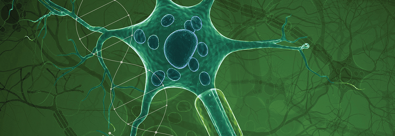 Report Offers Hope, Outlines 537 New Drugs in Development for Neurological Disorders
