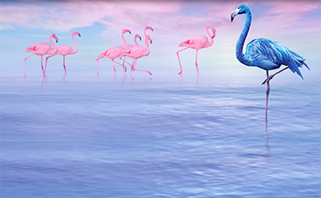 Northera Blue Flamingo