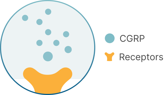 CGRP in body icon